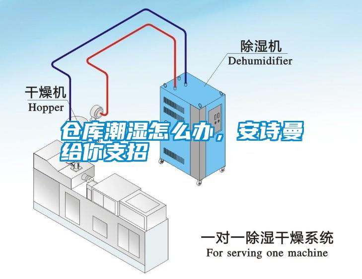 倉庫潮濕怎么辦，安詩曼給你支招