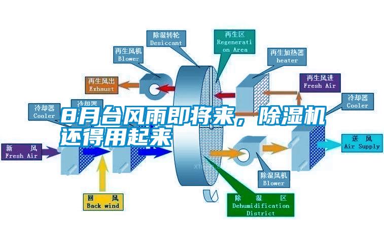 8月臺(tái)風(fēng)雨即將來，除濕機(jī)還得用起來