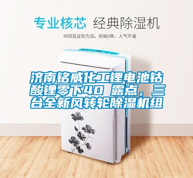 濟南銘威化工鋰電池鈷酸鋰零下40℃露點，三臺全新風(fēng)轉(zhuǎn)輪除濕機組