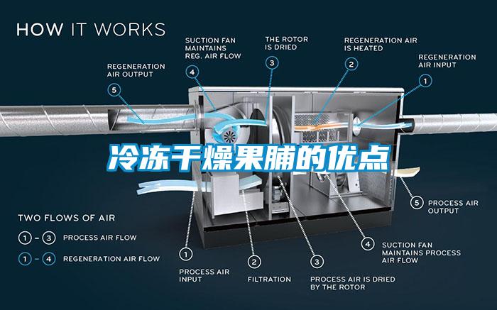 冷凍干燥果脯的優(yōu)點(diǎn)