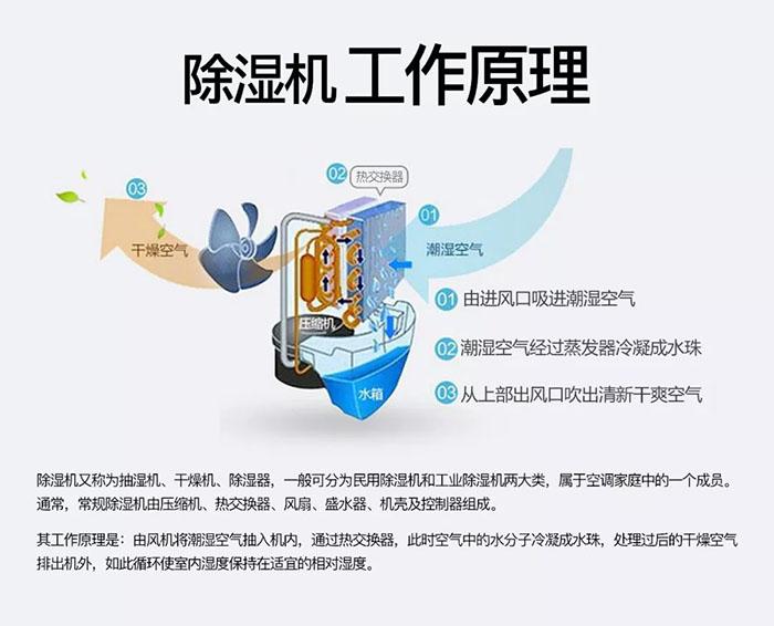 你們見(jiàn)過(guò)回南天電梯罷工嗎？