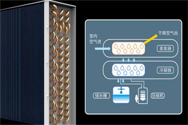 冷庫消毒用什么好？冷庫霧化消毒機