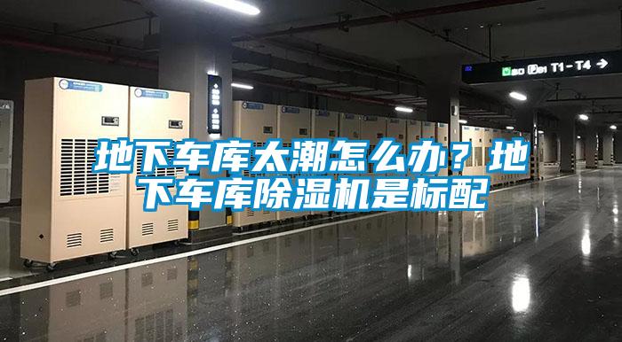 地下車庫太潮怎么辦？地下車庫除濕機是標配