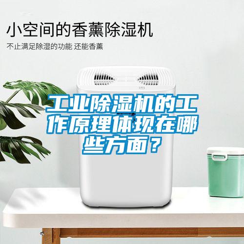 工業(yè)除濕機(jī)的工作原理體現(xiàn)在哪些方面？