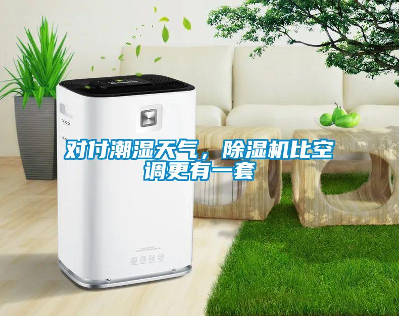 對付潮濕天氣，除濕機比空調(diào)更有一套