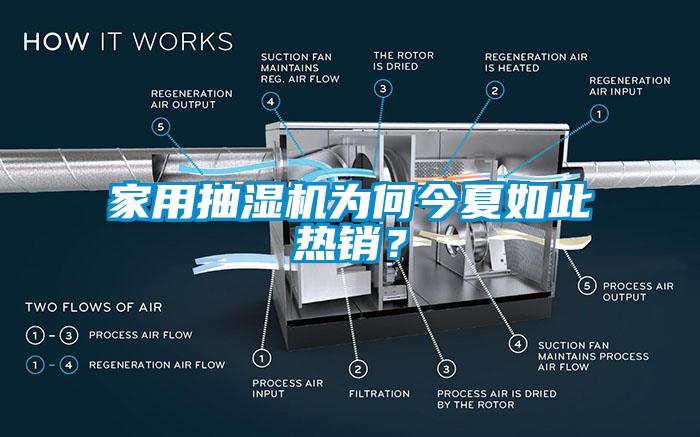 家用抽濕機(jī)為何今夏如此熱銷？