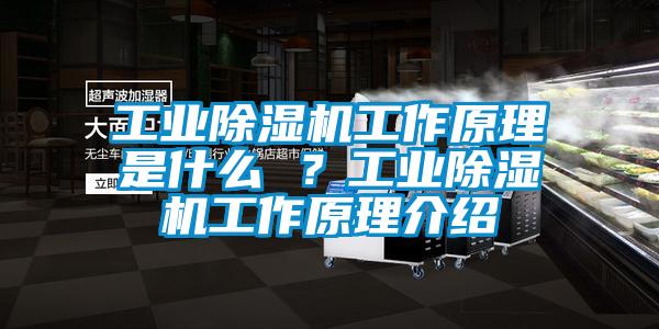 工業(yè)除濕機工作原理是什么 ？工業(yè)除濕機工作原理介紹