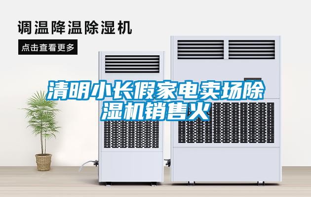 清明小長假家電賣場除濕機(jī)銷售火