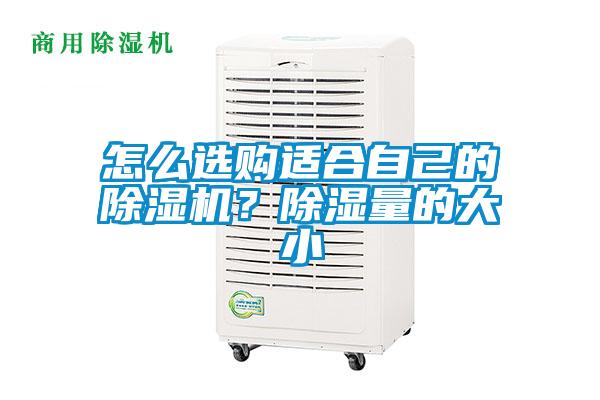 怎么選購適合自己的除濕機(jī)？除濕量的大小