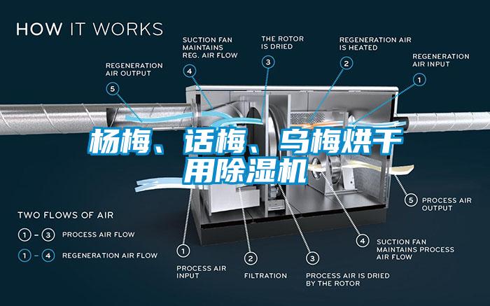 楊梅、話梅、烏梅烘干用除濕機