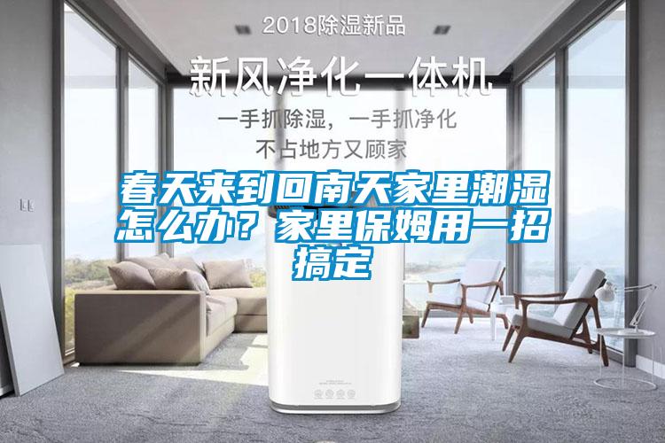 春天來(lái)到回南天家里潮濕怎么辦？家里保姆用一招搞定