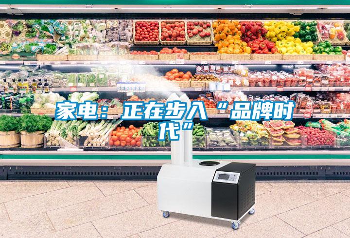 家電：正在步入“品牌時代”