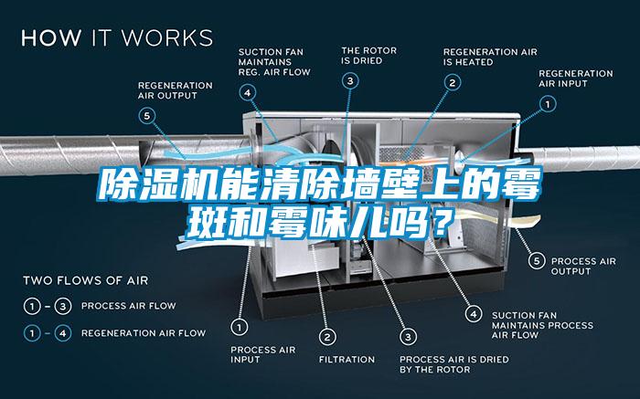 除濕機(jī)能清除墻壁上的霉斑和霉味兒?jiǎn)幔?/></p>
						    <p style=