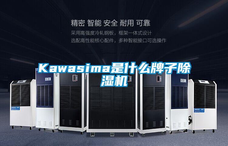 Kawasima是什么牌子除濕機