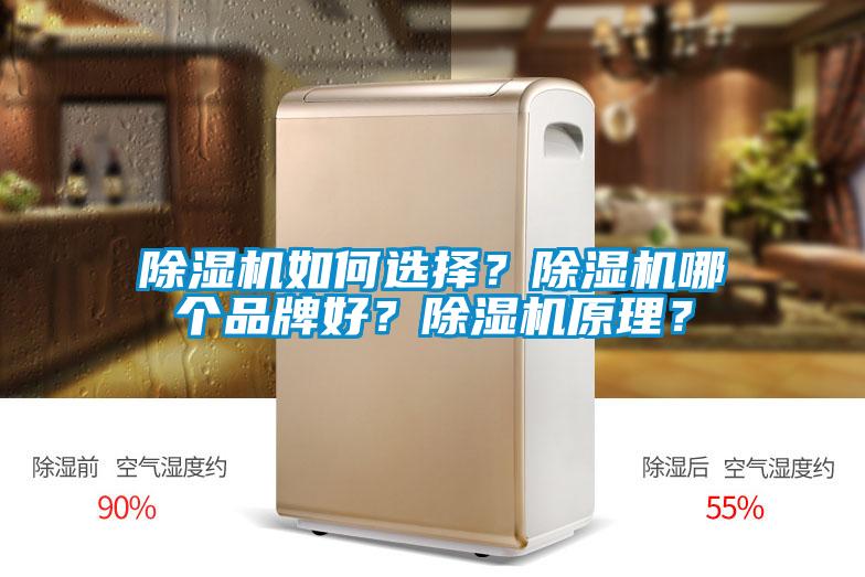 除濕機如何選擇？除濕機哪個品牌好？除濕機原理？