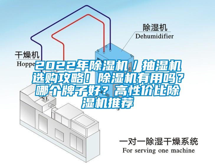 2022年除濕機(jī)／抽濕機(jī)選購(gòu)攻略！除濕機(jī)有用嗎？哪個(gè)牌子好？高性價(jià)比除濕機(jī)推薦