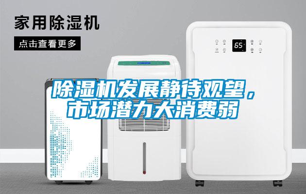 除濕機發(fā)展靜待觀望，市場潛力大消費弱