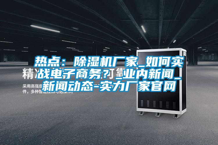 熱點：除濕機廠家_如何實戰(zhàn)電子商務？_業(yè)內(nèi)新聞_新聞動態(tài)-實力廠家官網(wǎng)