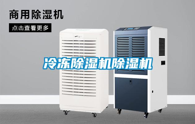 冷凍除濕機除濕機