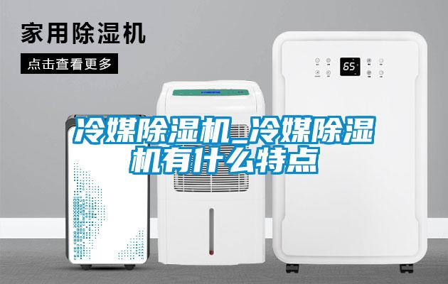 冷媒除濕機_冷媒除濕機有什么特點