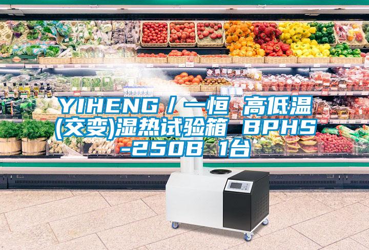 YIHENG／一恒 高低溫(交變)濕熱試驗箱 BPHS-250B 1臺