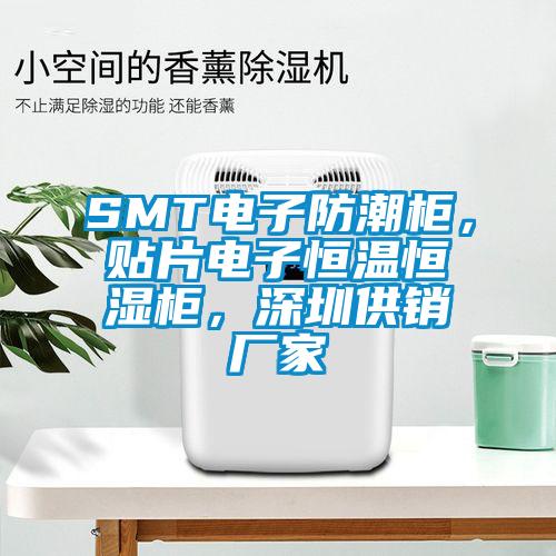 SMT電子防潮柜，貼片電子恒溫恒濕柜，深圳供銷廠家