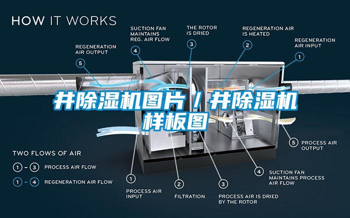 井除濕機(jī)圖片／井除濕機(jī)樣板圖