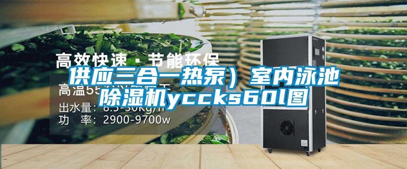 供應(yīng)三合一熱泵）室內(nèi)泳池除濕機(jī)yccks60l圖