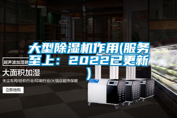 大型除濕機作用(服務至上：2022已更新)