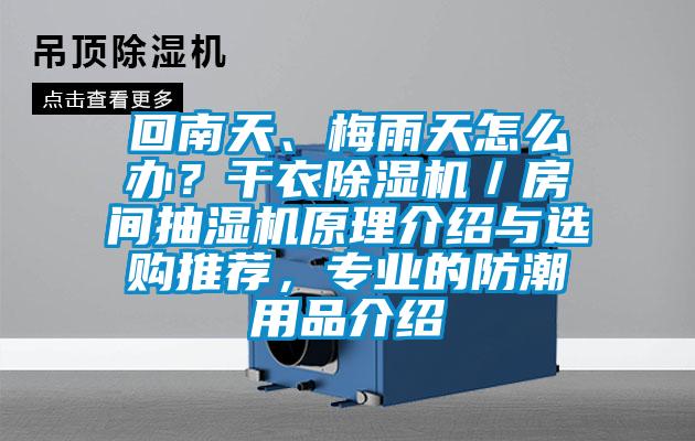 回南天、梅雨天怎么辦？干衣除濕機／房間抽濕機原理介紹與選購?fù)扑]，專業(yè)的防潮用品介紹