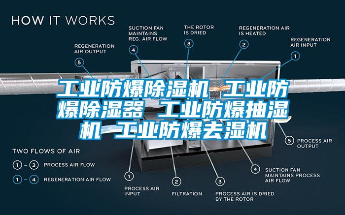 工業(yè)防爆除濕機(jī) 工業(yè)防爆除濕器 工業(yè)防爆抽濕機(jī) 工業(yè)防爆去濕機(jī)