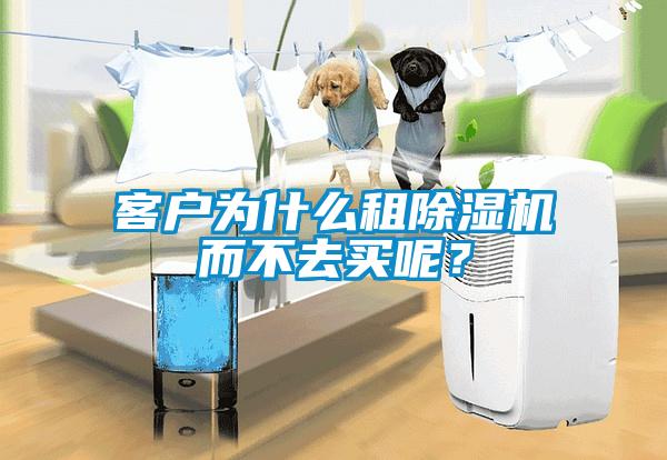 客戶為什么租除濕機而不去買呢？