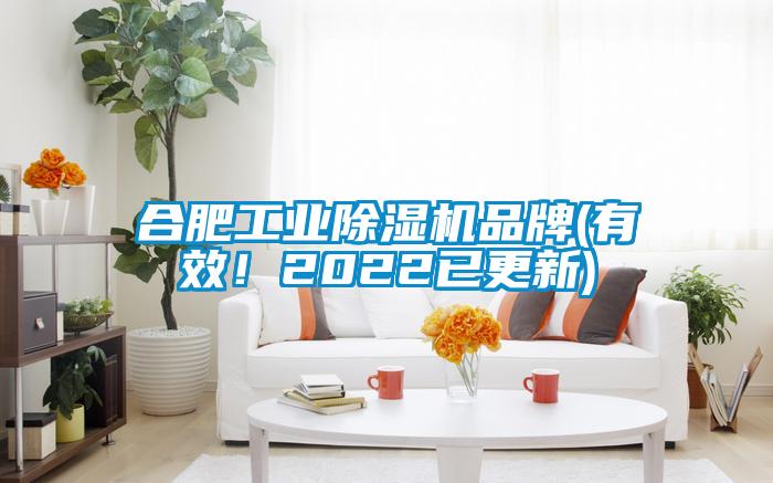 合肥工業(yè)除濕機(jī)品牌(有效！2022已更新)