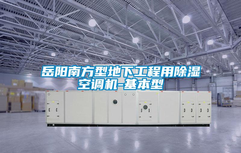 岳陽南方型地下工程用除濕空調(diào)機-基本型