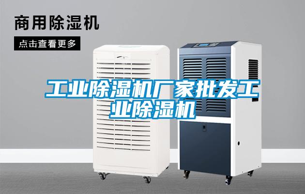 工業(yè)除濕機廠家批發(fā)工業(yè)除濕機