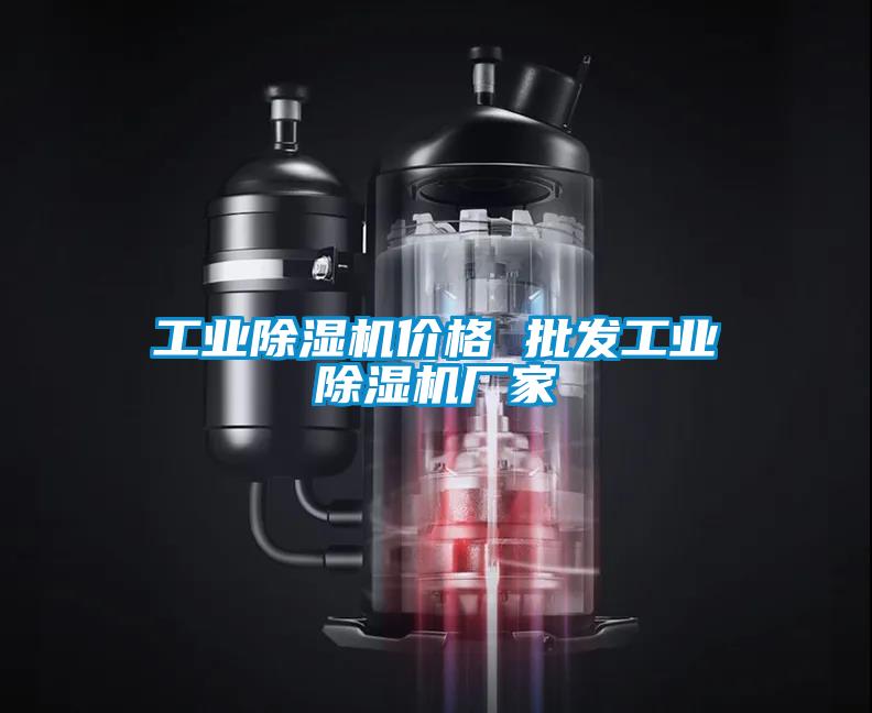 工業(yè)除濕機(jī)價(jià)格 批發(fā)工業(yè)除濕機(jī)廠家