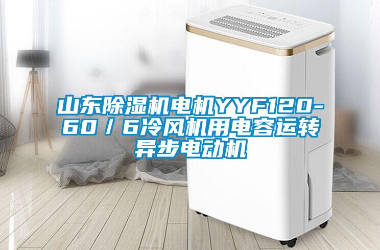 山東除濕機電機YYF120-60／6冷風(fēng)機用電容運轉(zhuǎn)異步電動機