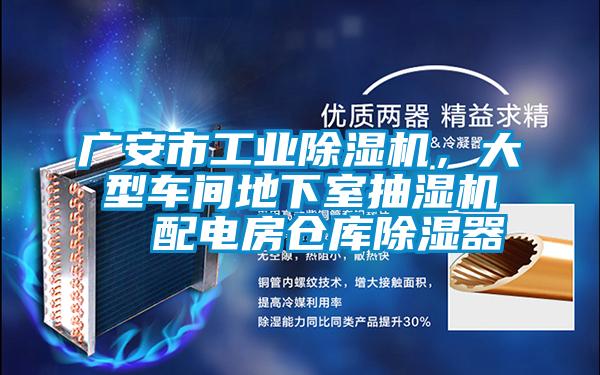 廣安市工業(yè)除濕機，大型車間地下室抽濕機  配電房倉庫除濕器