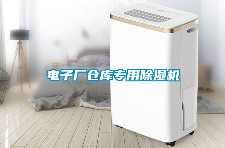 電子廠倉庫專用除濕機(jī)