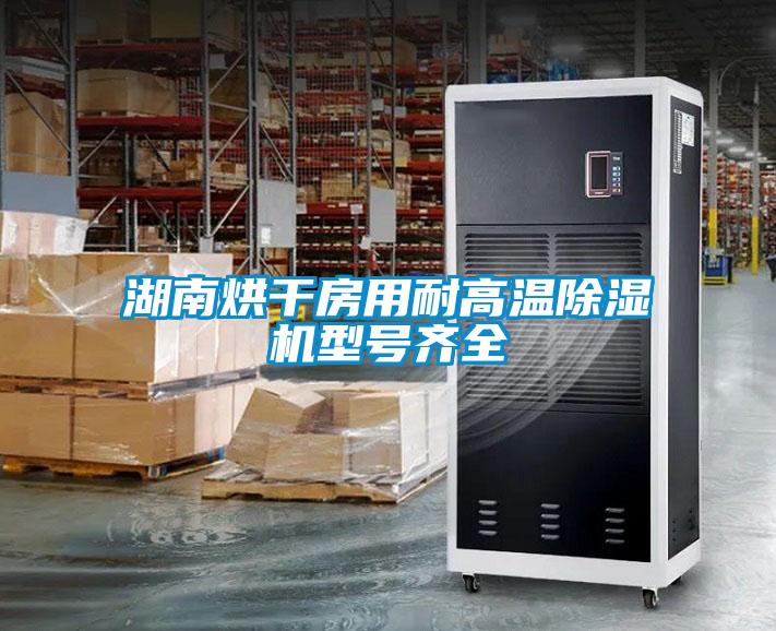 湖南烘干房用耐高溫除濕機型號齊全