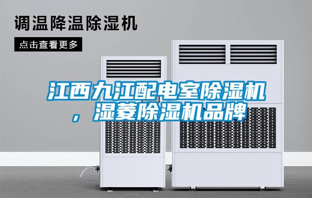 江西九江配電室除濕機(jī)，濕菱除濕機(jī)品牌