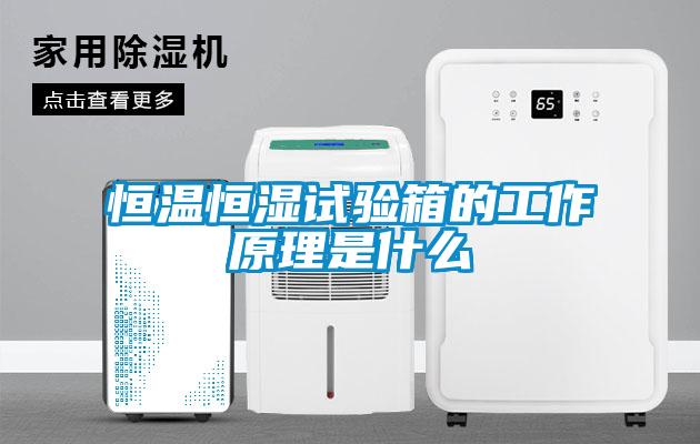 恒溫恒濕試驗箱的工作原理是什么