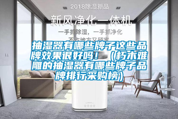 抽濕器有哪些牌子這些品牌效果很好嗎?。ㄐ嗄倦y雕的抽濕器有哪些牌子品牌排行采購榜）