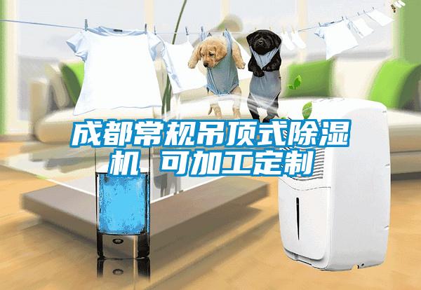 成都常規(guī)吊頂式除濕機(jī) 可加工定制