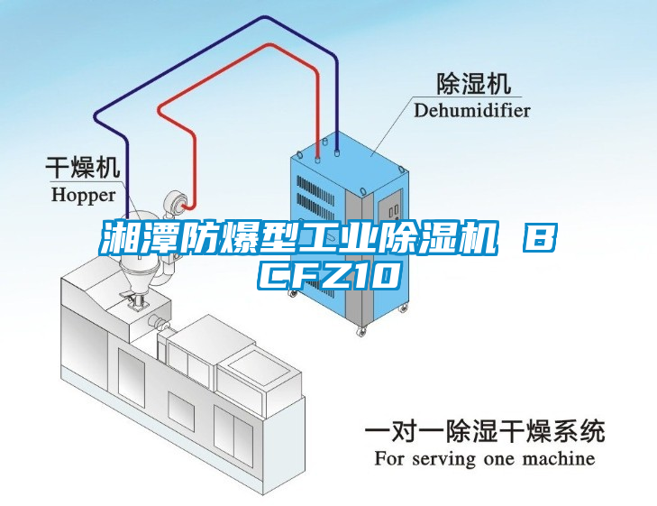 湘潭防爆型工業(yè)除濕機(jī) BCFZ10