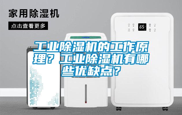 工業(yè)除濕機的工作原理？工業(yè)除濕機有哪些優(yōu)缺點？