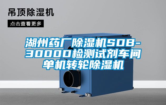 湖州藥廠除濕機(jī)SDB-3000D檢測(cè)試劑車(chē)間單機(jī)轉(zhuǎn)輪除濕機(jī)