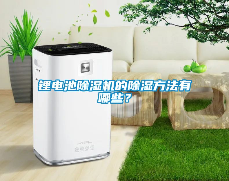 鋰電池除濕機(jī)的除濕方法有哪些？