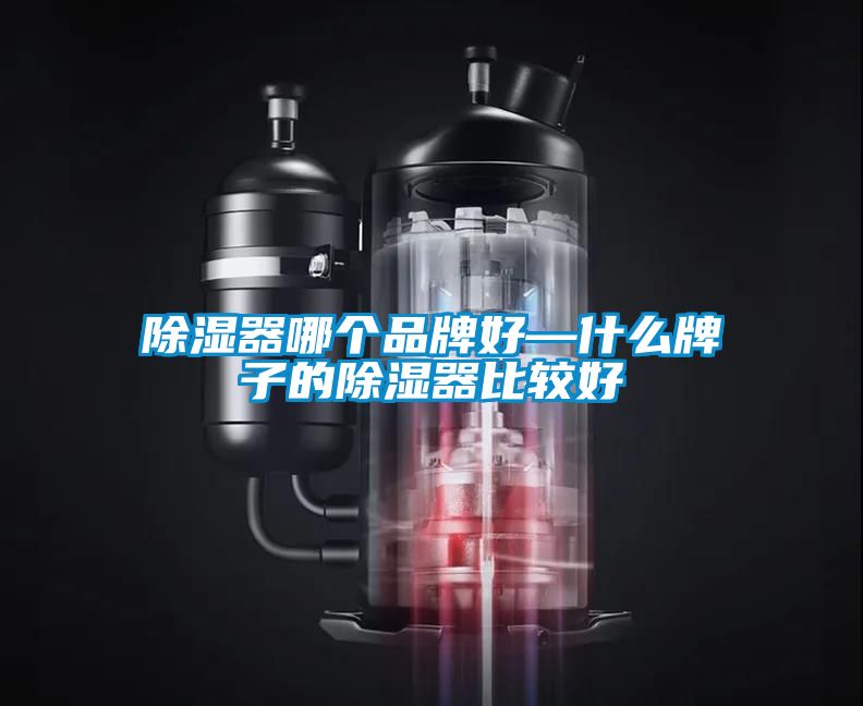 除濕器哪個(gè)品牌好—什么牌子的除濕器比較好