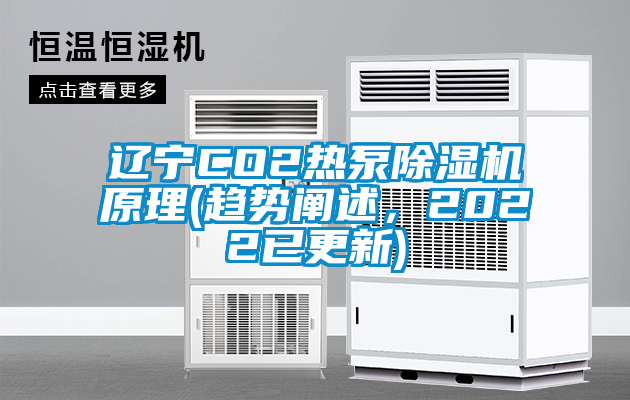 遼寧CO2熱泵除濕機原理(趨勢闡述，2022已更新)